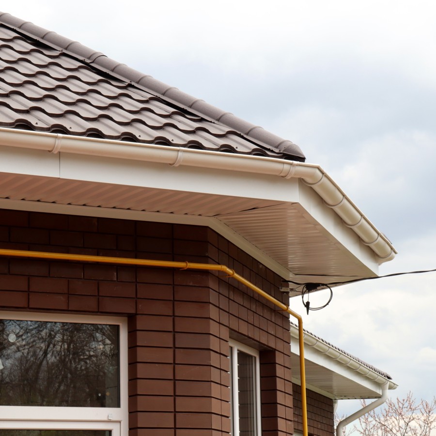 IMG_2247_1